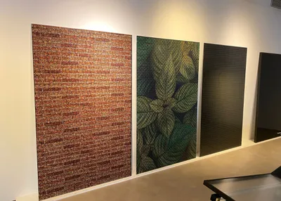 Energyra zonnepanelen via Dijkman Zonne-energie